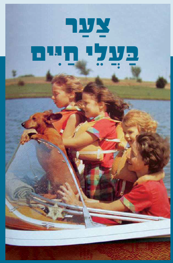 (בספר שתי תמונות)